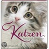 Katzen - Anmut auf Samtpfoten. BelLibri door Onbekend