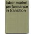Labor Market Performance In Transition