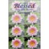 Life Is One Blessed Thing After Another