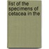 List Of The Specimens Of Cetacea In The