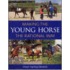 Making the Young Horse the Rational Way