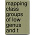 Mapping Class Groups Of Low Genus And T