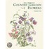 Mary McMurtrie's Country Garden Flowers