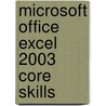 Microsoft Office Excel 2003 Core Skills door Microsoft Official Academic Course