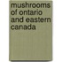 Mushrooms Of Ontario And Eastern Canada
