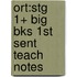 Ort:stg 1+ Big Bks 1st Sent Teach Notes