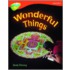 Ort:treetops Nf Stg 13 Wonderful Things