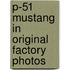 P-51 Mustang In Original Factory Photos