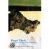 Paul Thek. Tales the Tortoise Taught Us