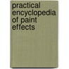 Practical Encyclopedia Of Paint Effects door Onbekend