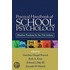 Practical Handbook of School Psychology