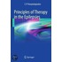 Principles Of Therapy In The Epilepsies