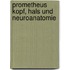 Prometheus Kopf, Hals und Neuroanatomie