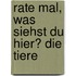 Rate mal, was siehst du hier? Die Tiere