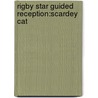 Rigby Star Guided Reception:Scardey Cat by Unknown