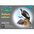 Rwi Phonics:grey 7 Str Vulture Cult N/e