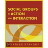 Social Groups in Action and Interaction door Charles Stangor