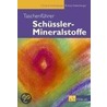 Taschenführer Schüssler-Mineralstoffe door Christine Kellenberger