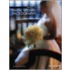 The Best of Digital Wedding Photography