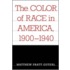 The Color of Race in America, 1900-1940