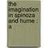 The Imagination In Spinoza And Hume : A