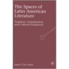 The Spaces of Latin American Literature door Juan E. de Castro