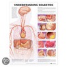Understanding Diabetes Anatomical Chart by Anatomical Chart Company