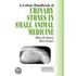Urinary Stones In Small Animal Medicine