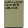 Vesico-Vaginal Fistula From Parturition door Thomas Addis Emmet