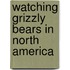 Watching Grizzly Bears In North America