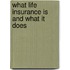 What Life Insurance Is And What It Does