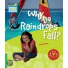 Why Do Raindrops Fall? Level 3 Factbook by Peter Rees