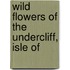Wild Flowers Of The Undercliff, Isle Of