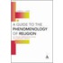 A Guide to the Phenomenology of Religion