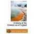 A History Of The Criminal Law Of England