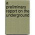 A Preliminary Report On The Underground