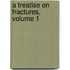 A Treatise On Fractures, Volume 1