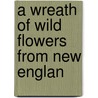 A Wreath Of Wild Flowers From New Englan by Unknown