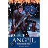 Angel Nach Dem Fall 02. Die Erste Nacht! door Brian Lynch
