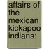 Affairs Of The Mexican Kickapoo Indians: