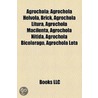 Agrochola: Agrochola Helvola, Brick, Agr by Unknown