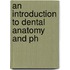 An Introduction To Dental Anatomy And Ph