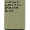 Anatomical Plates Of The Bones And Muscl by Robert Hooper