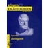 Antigone. Erläuterungen und Materialien