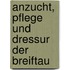 Anzucht, Pflege Und Dressur Der Breiftau