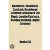 Apristurus: Smallbelly Catshark, Broadno door Onbekend