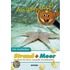 Augen auf! Wir entdecken Strand und Meer