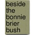 Beside The Bonnie Brier Bush