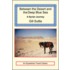 Between the Desert and the Deep Blue Sea