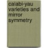 Calabi-Yau Varieties And Mirror Symmetry